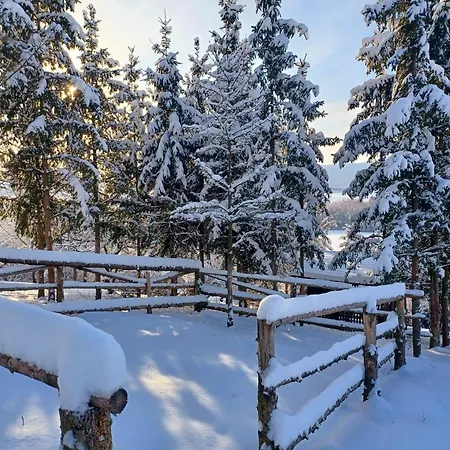 Fenyo Kucko Apartament