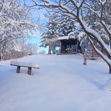 Fenyo Kucko Lejlighed Bodony