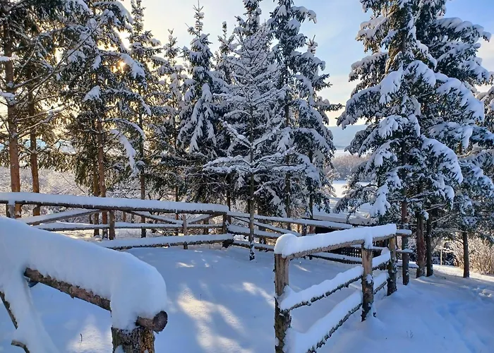 Fenyő Kuckó Apartment